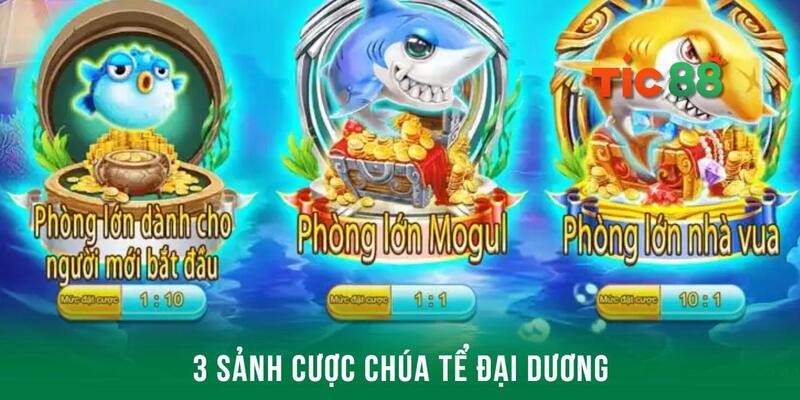 Tìm hiểu 3 cấp độ sảnh cược dành cho thành viên