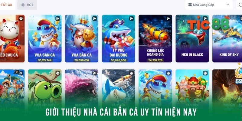 Tic88 - Nhà cái bắn cá uy tín siêu xanh chín năm 2025 2 Giới thiệu về chuyên mục bắn cá đang rất được ưa chuộng hiện nay