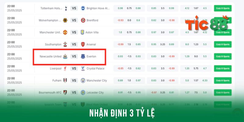 Nhận định kèo Newcastle qua 3 tỷ lệ chính