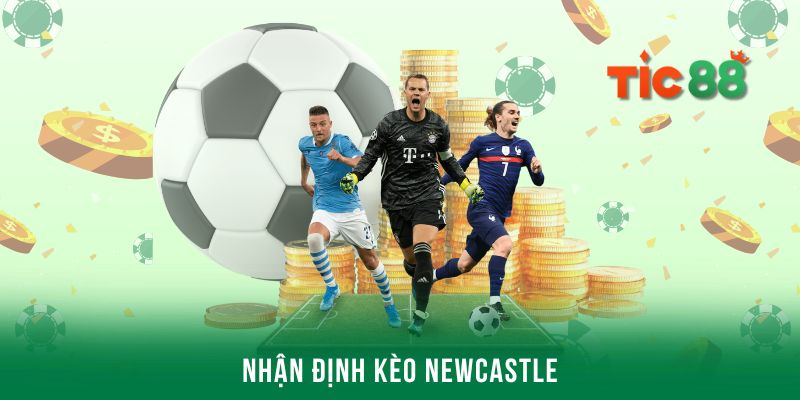 Nhận định kèo Newcastle - Cập nhật các thông tin về đội bóng
