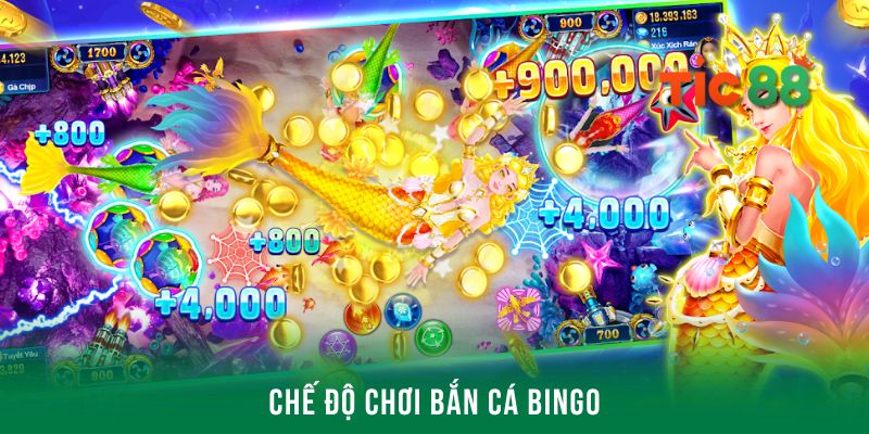 Tham gia bắn cá Bingo đổi thưởng trên Tic88 săn quà khủng 4 Tìm hiểu các chế độ chơi hấp dẫn tại săn cá Bingo